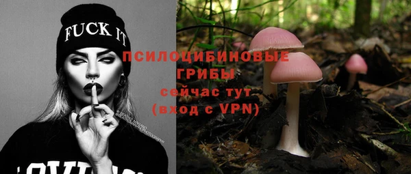 стафф Богородицк