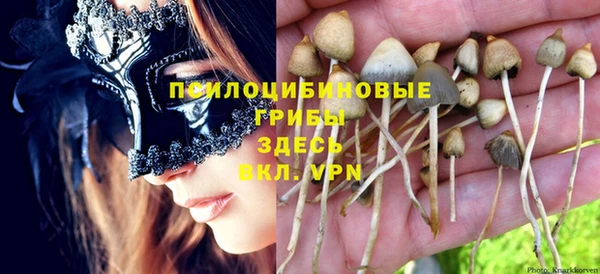 трава Бородино