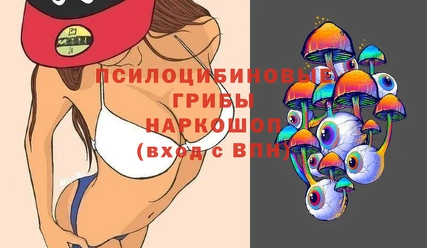 прущая мука Богородск