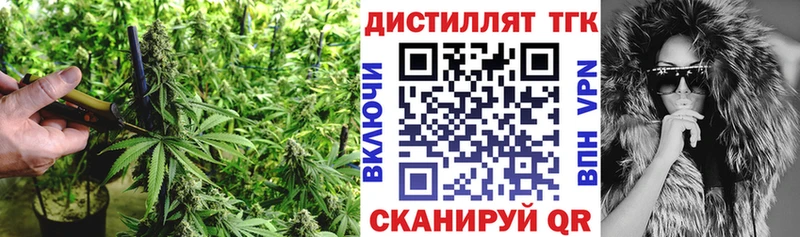 как найти закладки  Бородино  ТГК жижа 