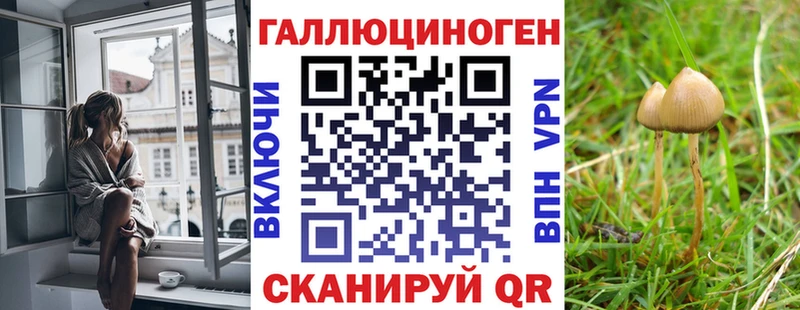 Псилоцибиновые грибы Cubensis Бородино