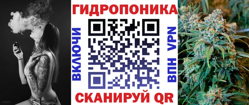 Каннабис индика Бородино